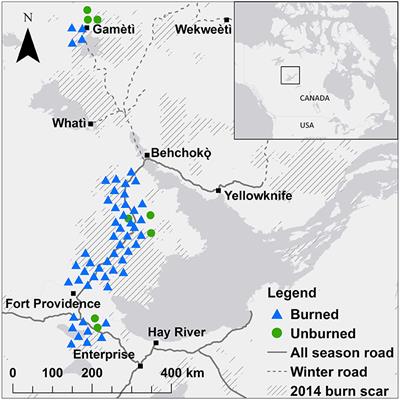 Identifying Functional Impacts of Heat-Resistant Fungi on Boreal Forest Recovery After Wildfire